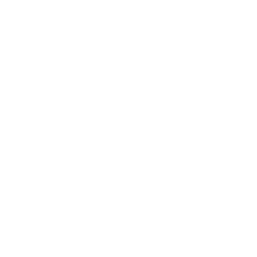 report generation for your costumers